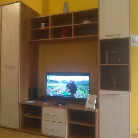 Apartman Marina Sa Garazom ノヴィ・サド エクステリア 写真