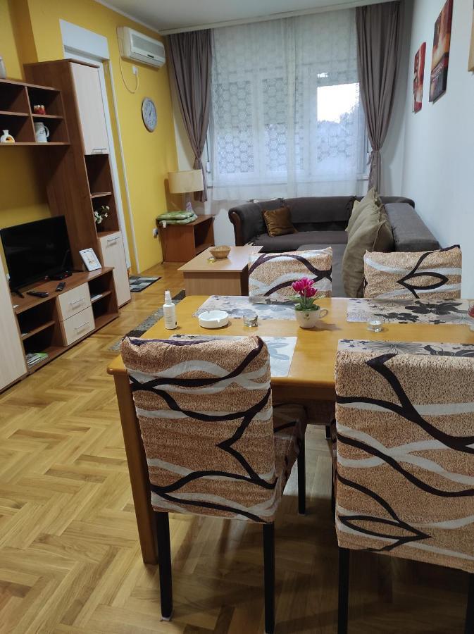 Apartman Marina Sa Garazom ノヴィ・サド エクステリア 写真