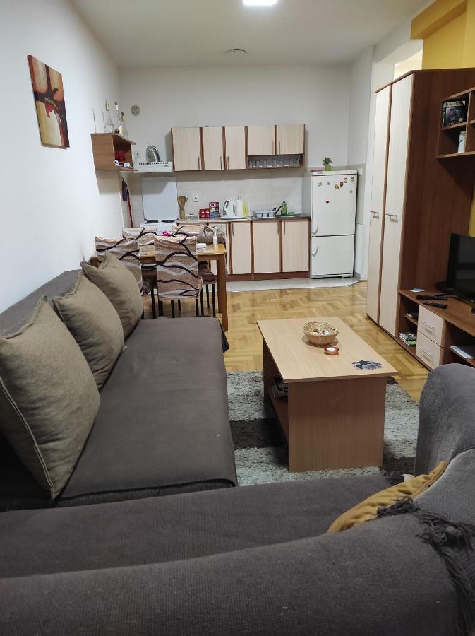 Apartman Marina Sa Garazom ノヴィ・サド エクステリア 写真