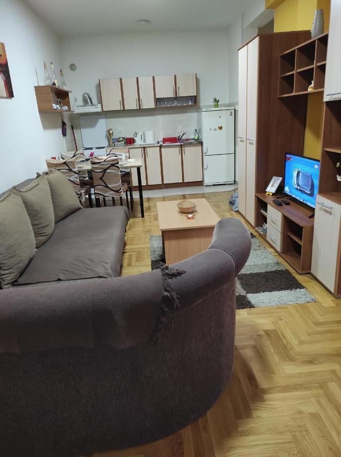 Apartman Marina Sa Garazom ノヴィ・サド エクステリア 写真