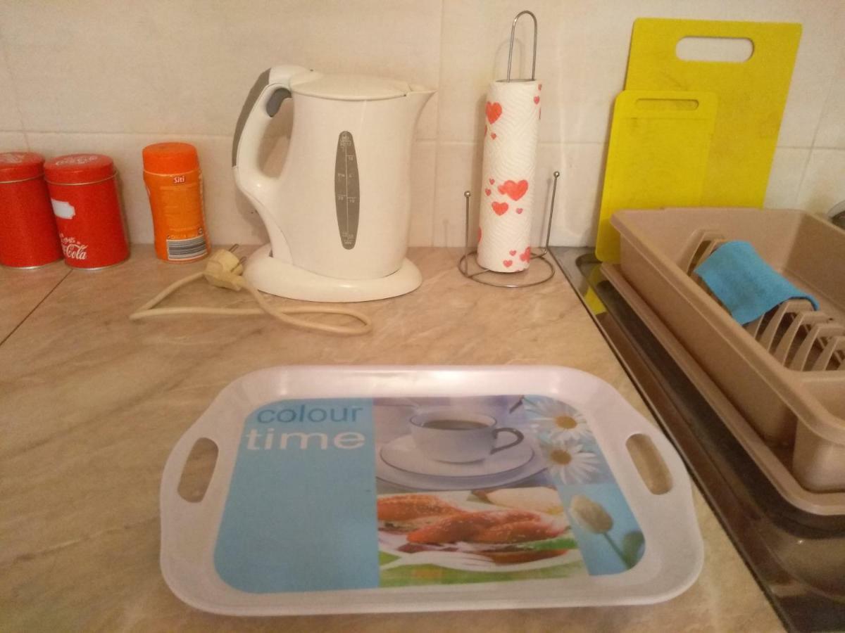 Apartman Marina Sa Garazom ノヴィ・サド エクステリア 写真