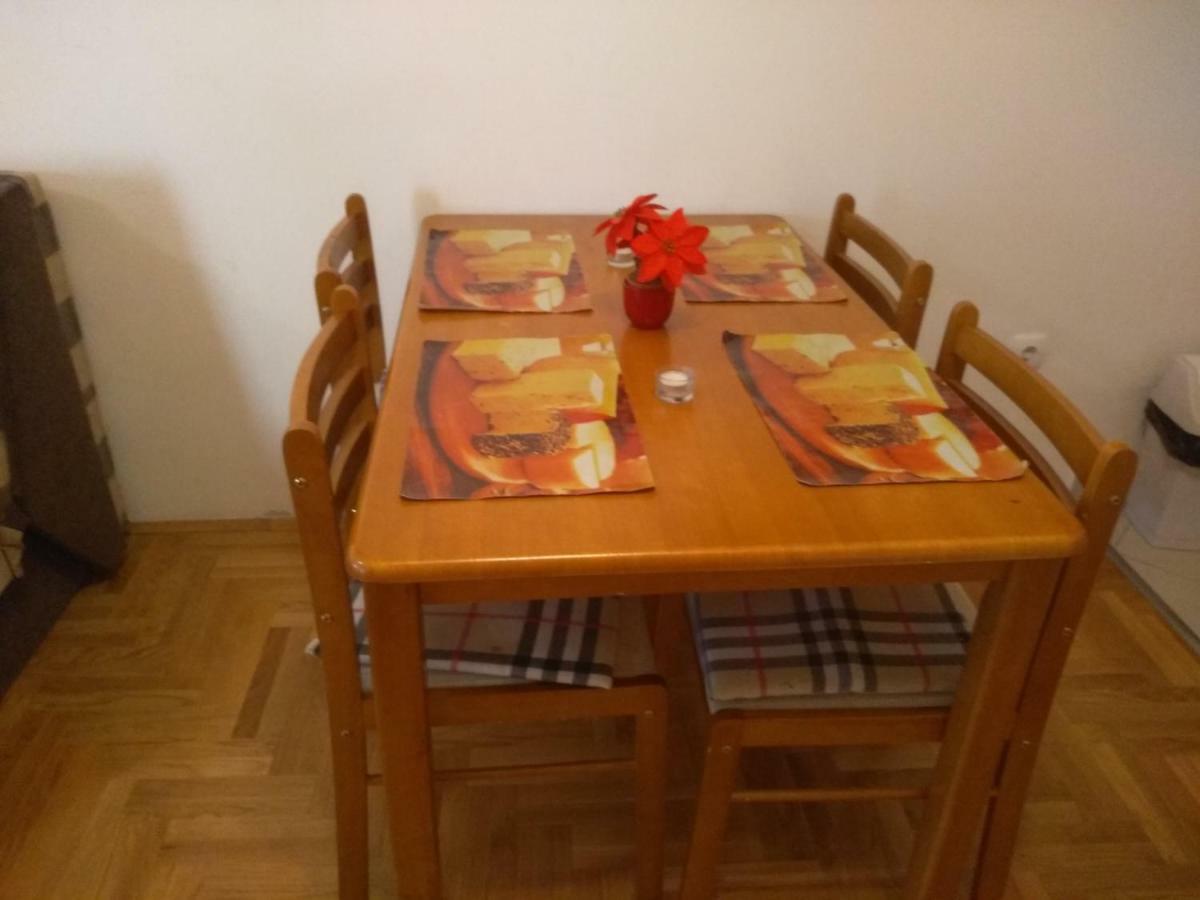 Apartman Marina Sa Garazom ノヴィ・サド エクステリア 写真