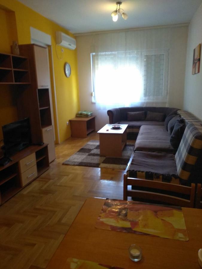 Apartman Marina Sa Garazom ノヴィ・サド エクステリア 写真