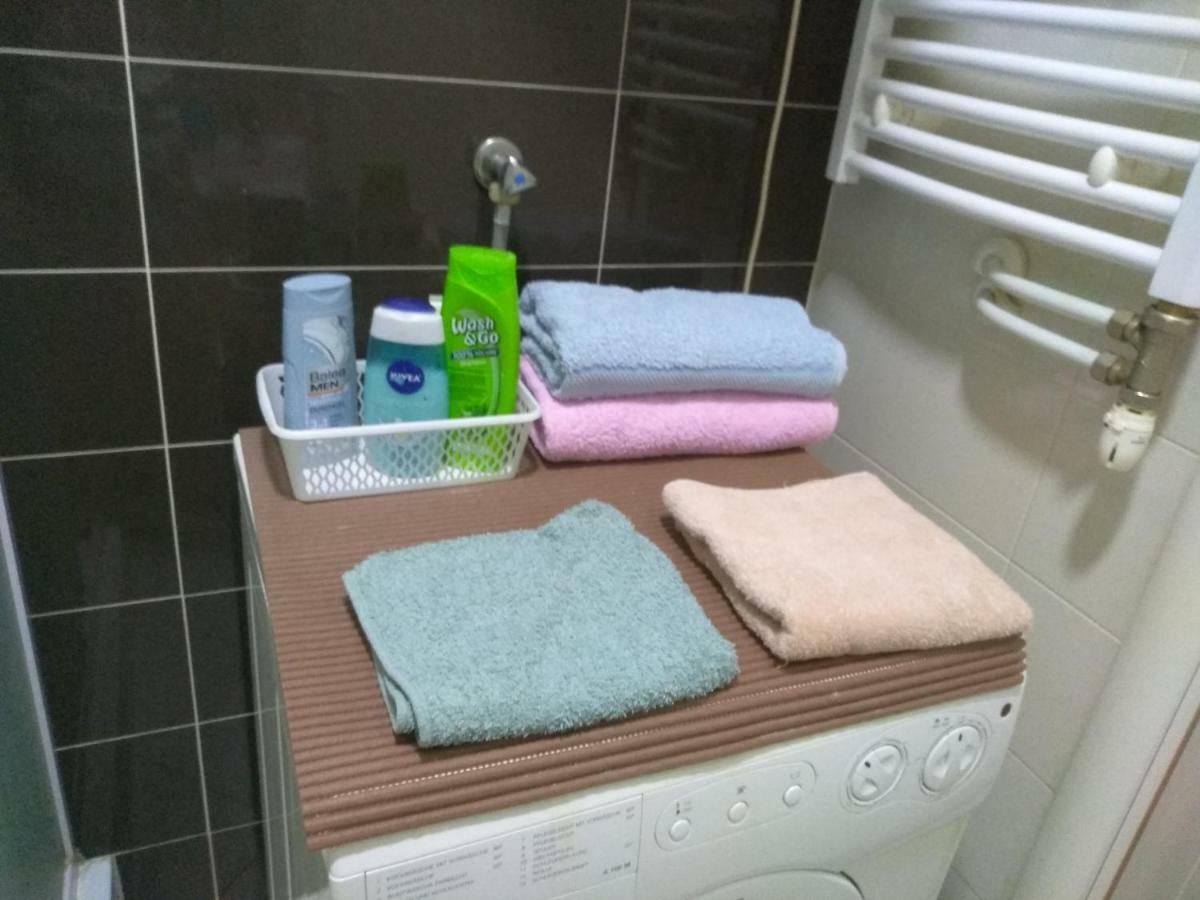 Apartman Marina Sa Garazom ノヴィ・サド エクステリア 写真