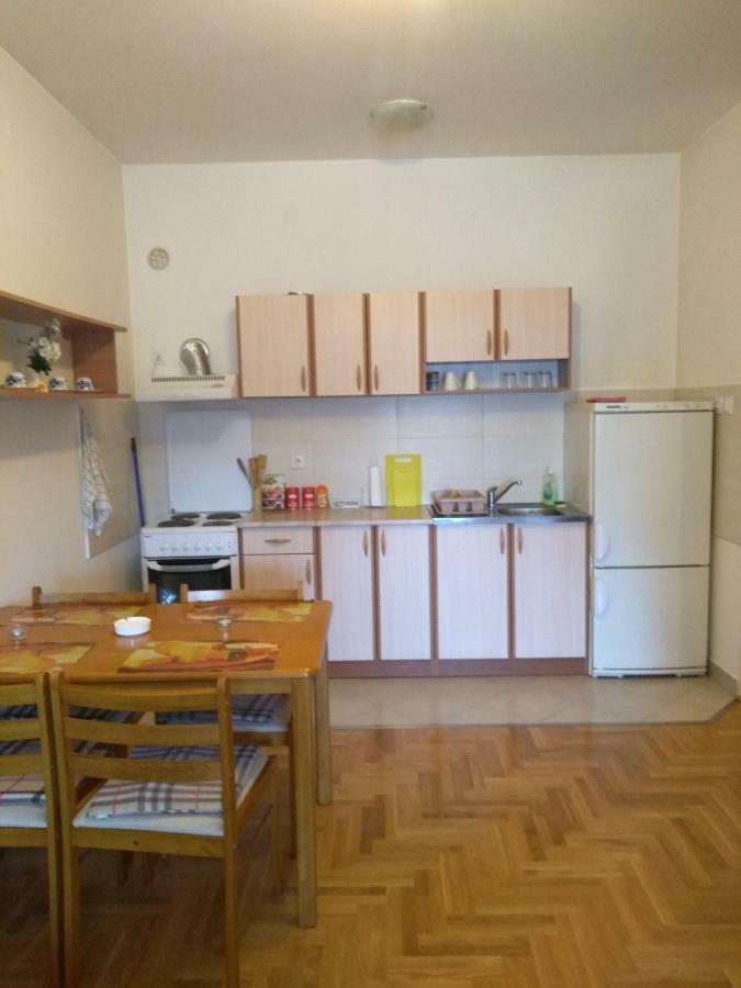 Apartman Marina Sa Garazom ノヴィ・サド エクステリア 写真