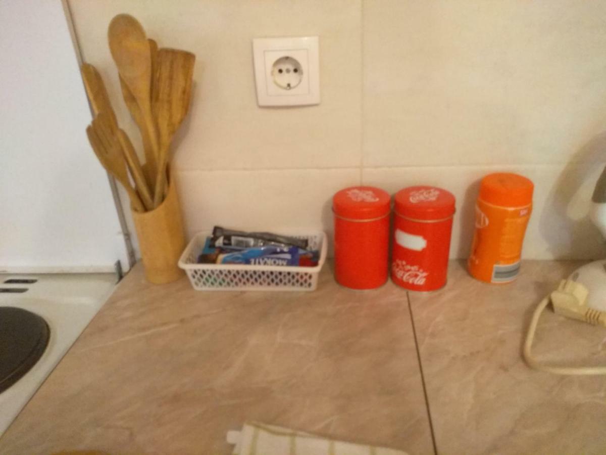 Apartman Marina Sa Garazom ノヴィ・サド エクステリア 写真