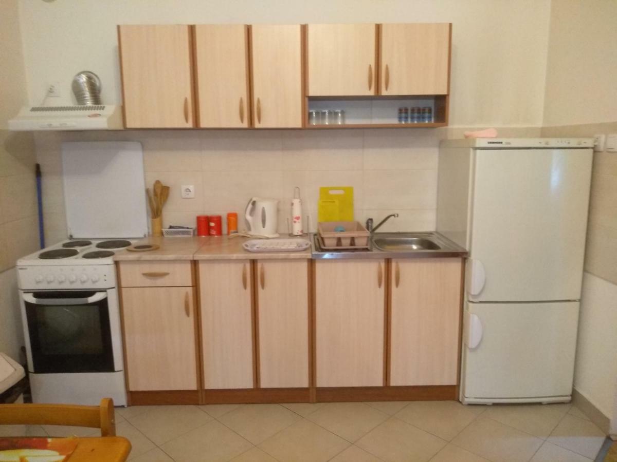 Apartman Marina Sa Garazom ノヴィ・サド エクステリア 写真