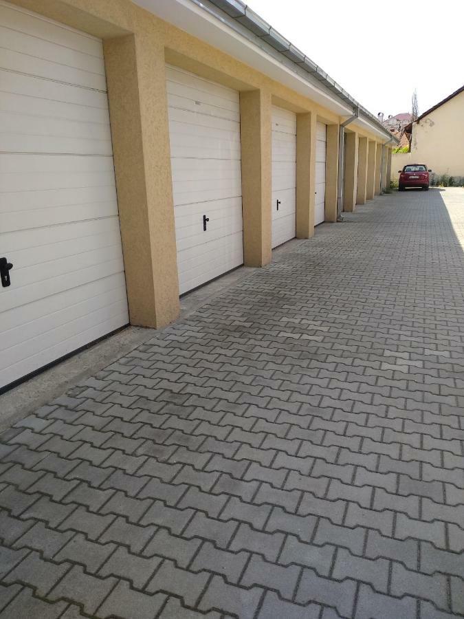 Apartman Marina Sa Garazom ノヴィ・サド エクステリア 写真
