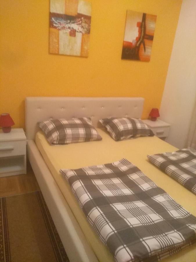 Apartman Marina Sa Garazom ノヴィ・サド エクステリア 写真