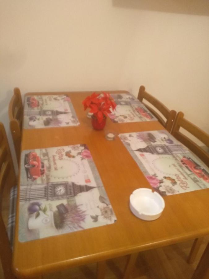 Apartman Marina Sa Garazom ノヴィ・サド エクステリア 写真