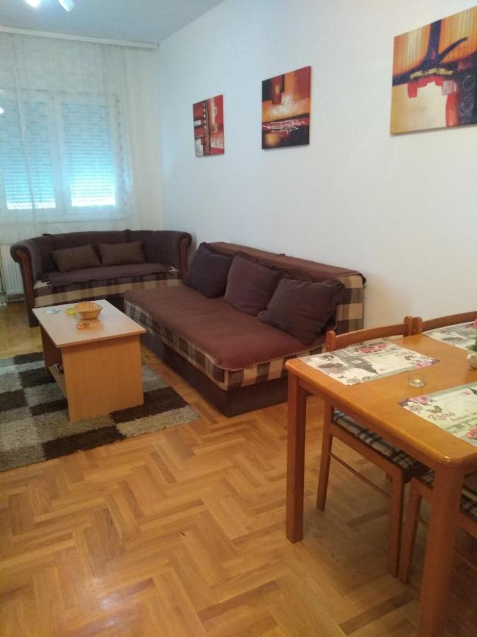 Apartman Marina Sa Garazom ノヴィ・サド エクステリア 写真
