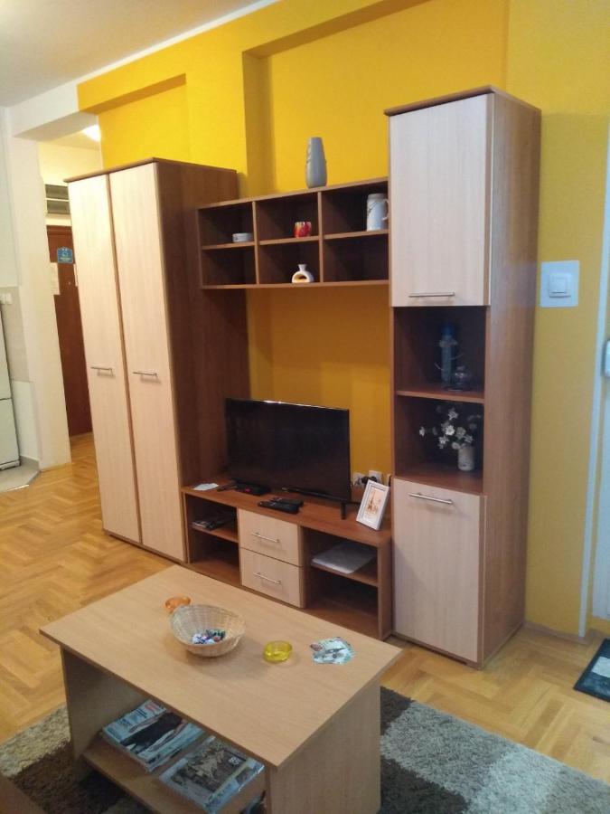 Apartman Marina Sa Garazom ノヴィ・サド エクステリア 写真