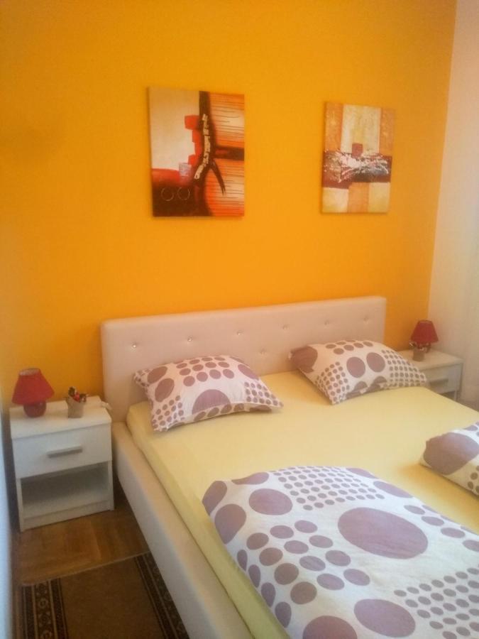 Apartman Marina Sa Garazom ノヴィ・サド エクステリア 写真