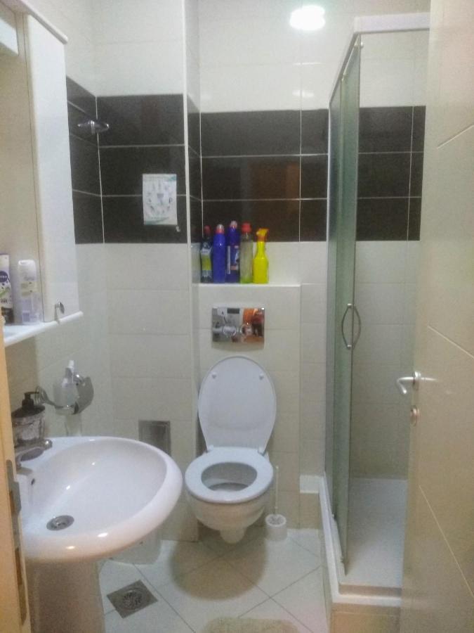 Apartman Marina Sa Garazom ノヴィ・サド エクステリア 写真
