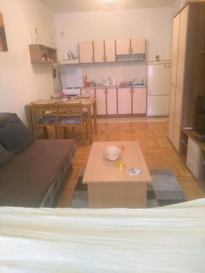 Apartman Marina Sa Garazom ノヴィ・サド エクステリア 写真